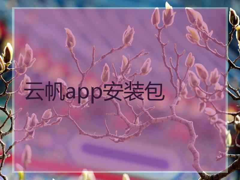 云帆app安装包