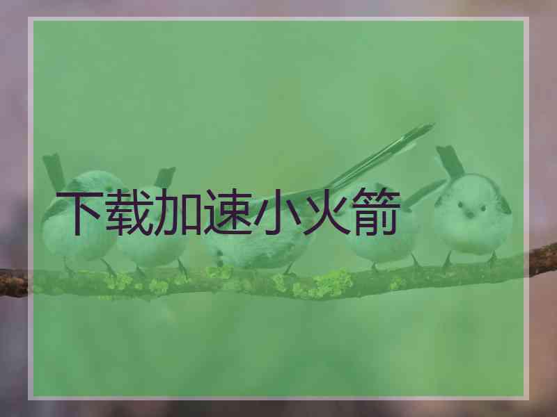 下载加速小火箭