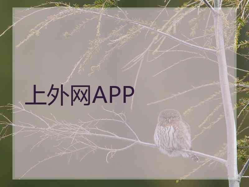 上外网APP