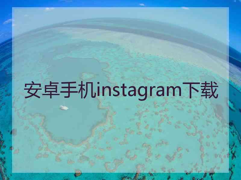 安卓手机instagram下载
