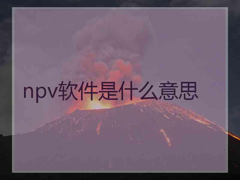 npv软件是什么意思
