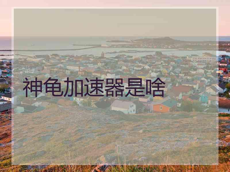 神龟加速器是啥