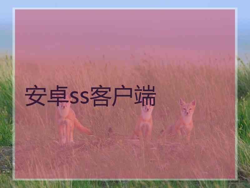 安卓ss客户端