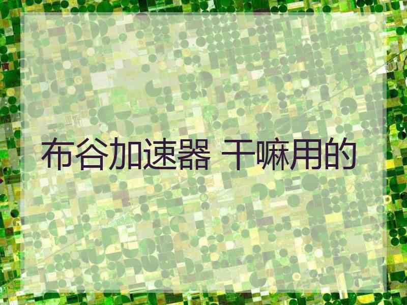 布谷加速器 干嘛用的