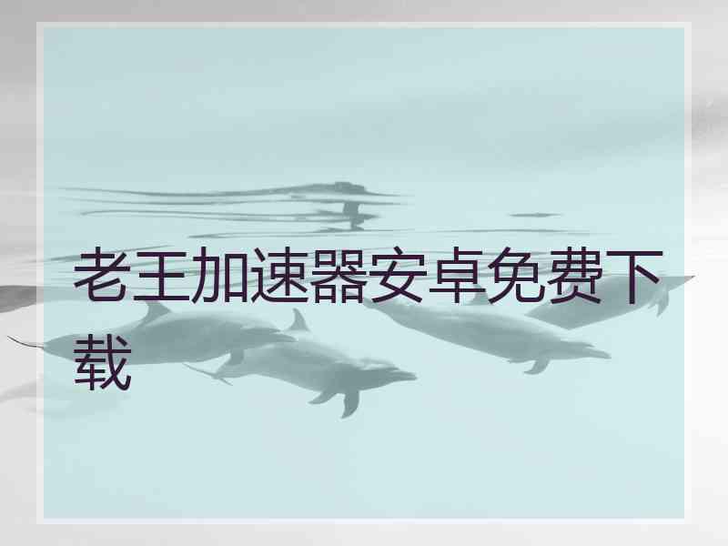 老王加速器安卓免费下载