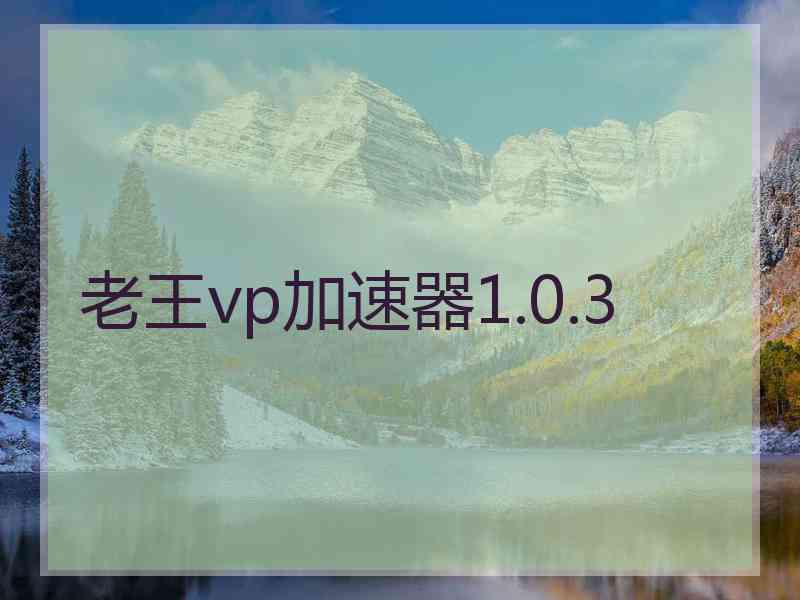 老王vp加速器1.0.3