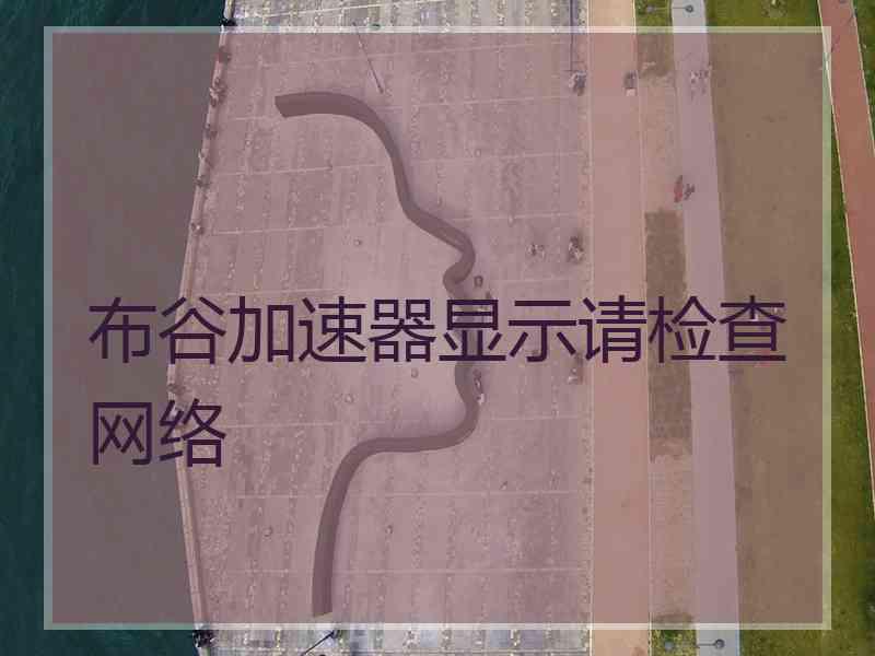 布谷加速器显示请检查网络