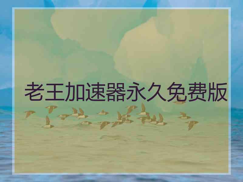 老王加速器永久免费版