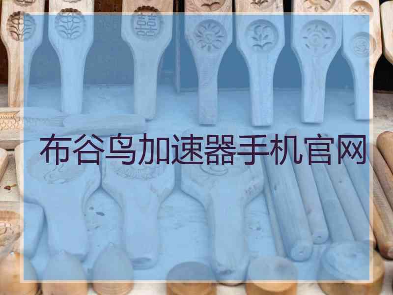 布谷鸟加速器手机官网