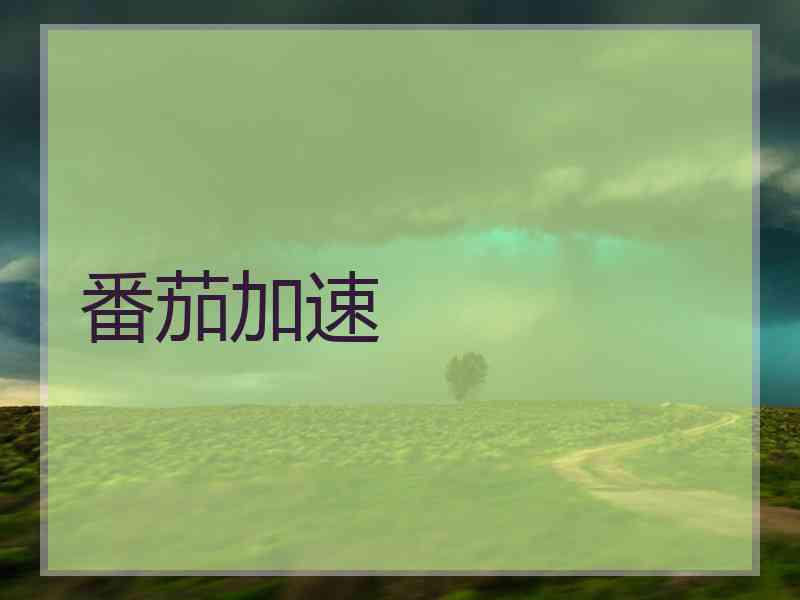 番茄加速