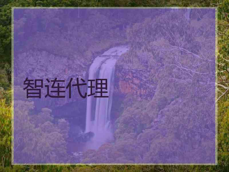 智连代理