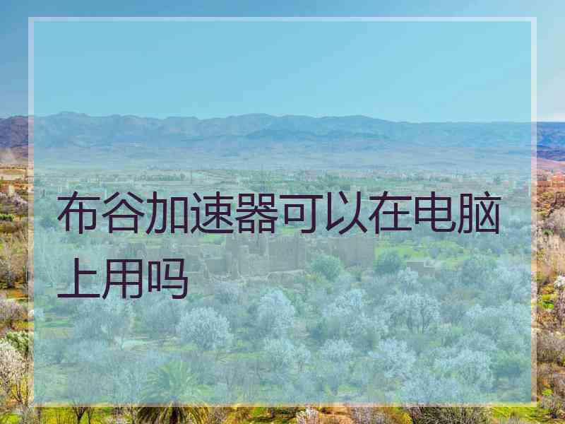 布谷加速器可以在电脑上用吗