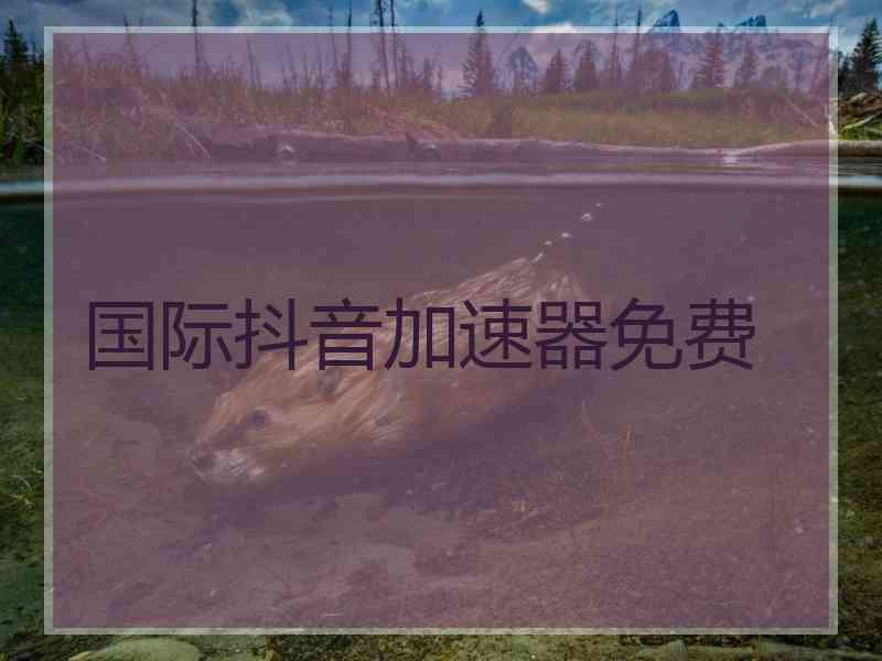 国际抖音加速器免费