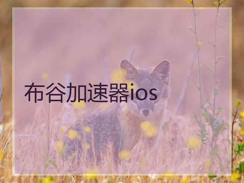 布谷加速器ios