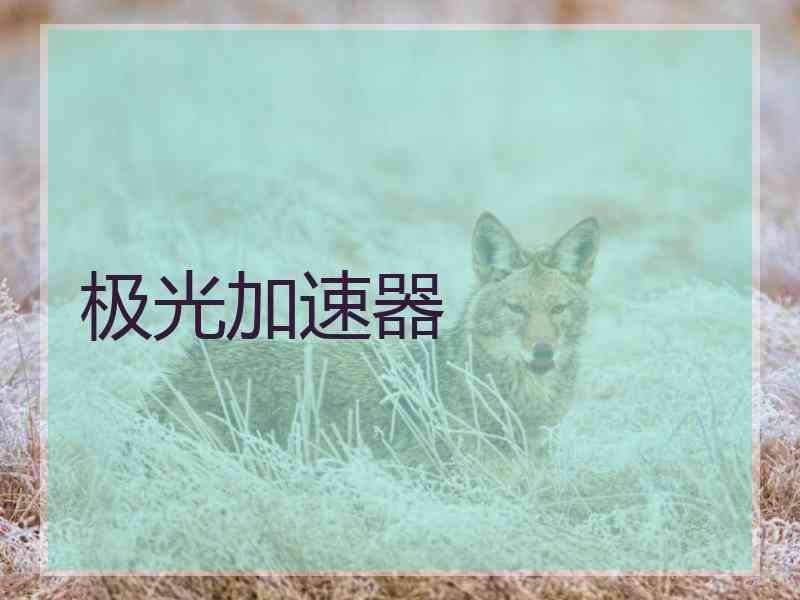 极光加速器