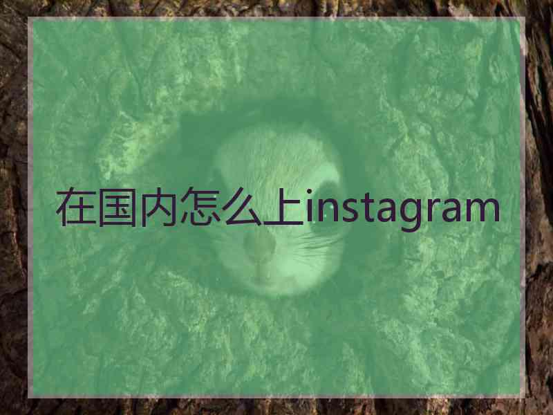 在国内怎么上instagram