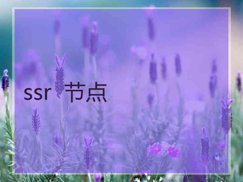 ssr  节点