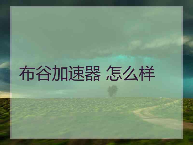 布谷加速器 怎么样