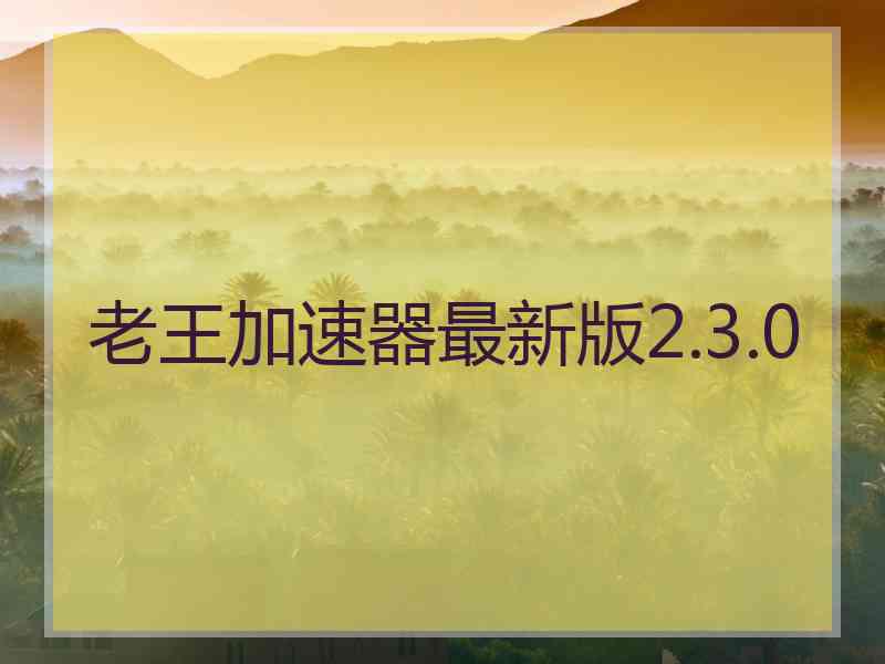老王加速器最新版2.3.0