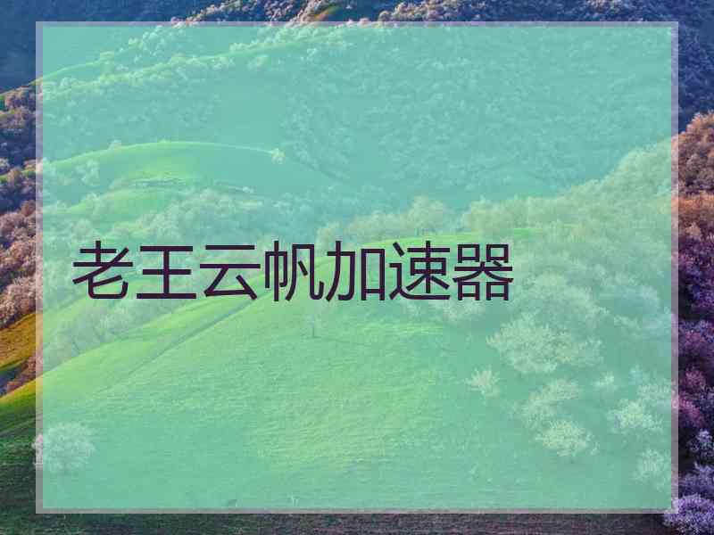 老王云帆加速器