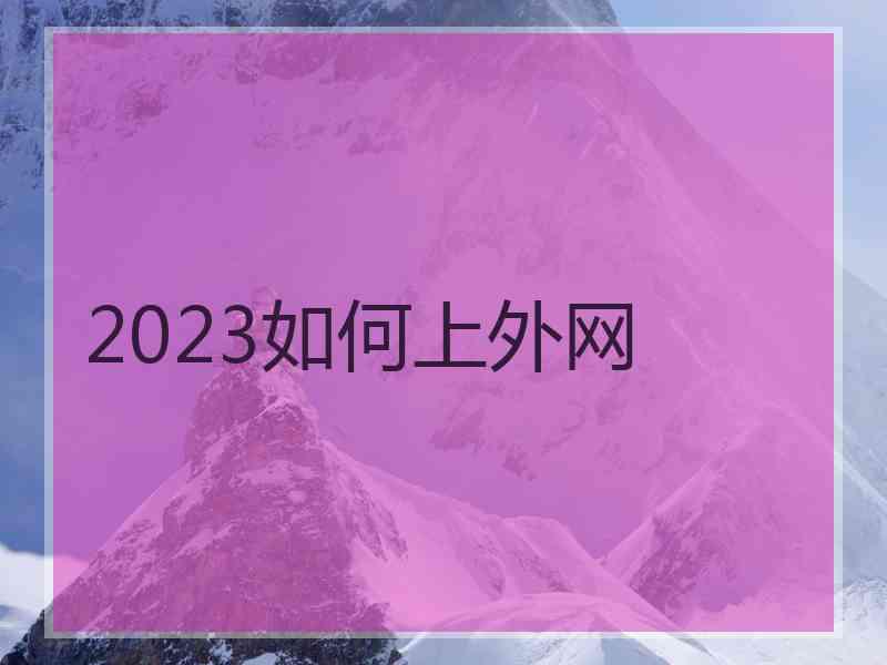 2023如何上外网