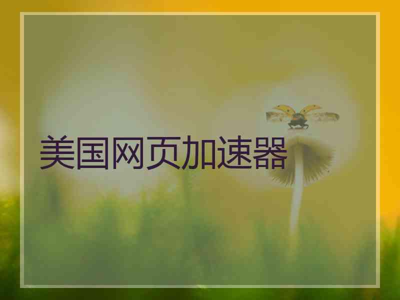 美国网页加速器
