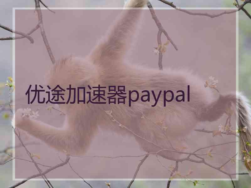 优途加速器paypal
