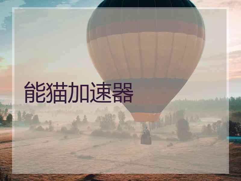 能猫加速器