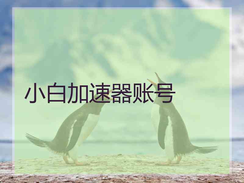小白加速器账号