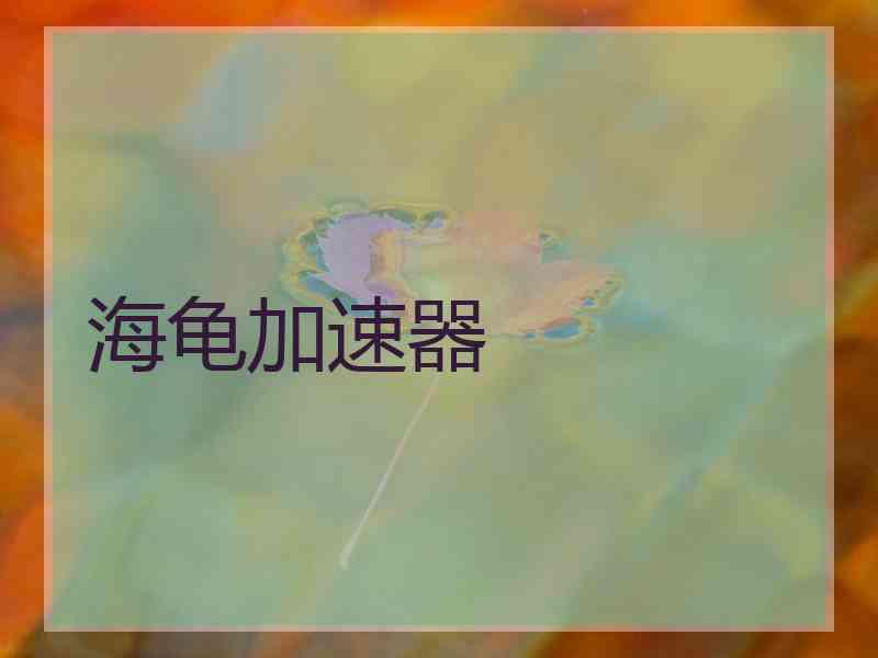 海龟加速器