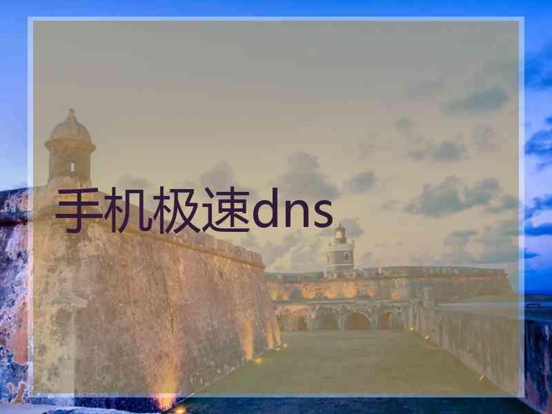 手机极速dns