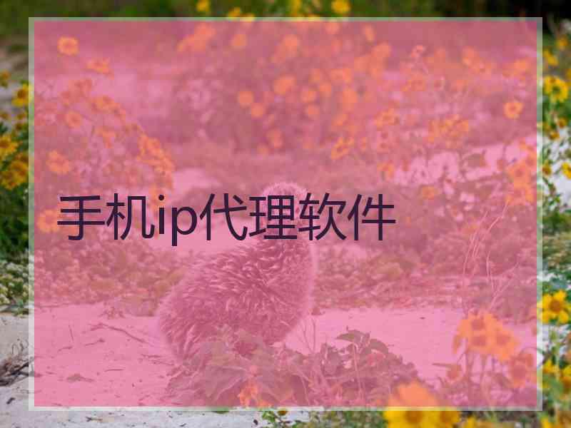 手机ip代理软件