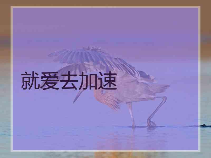 就爱去加速