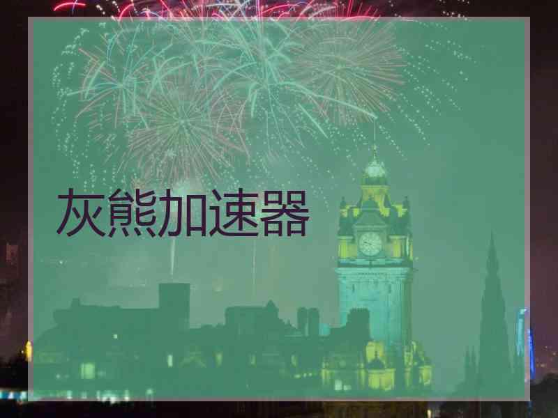 灰熊加速器