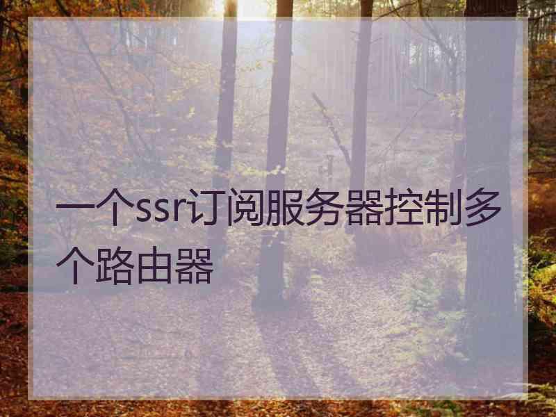 一个ssr订阅服务器控制多个路由器