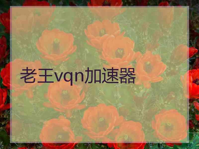 老王vqn加速器