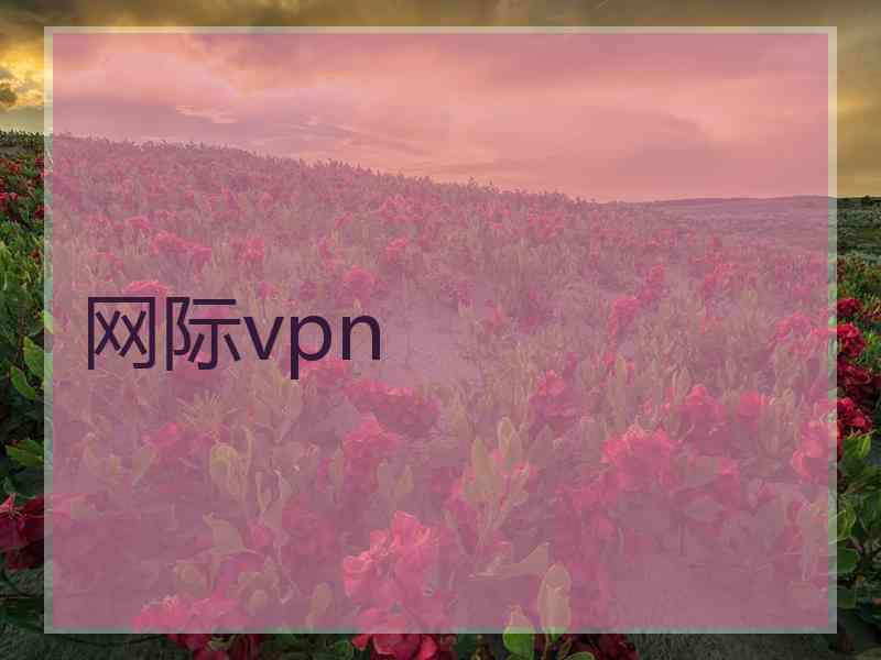 网际vpn