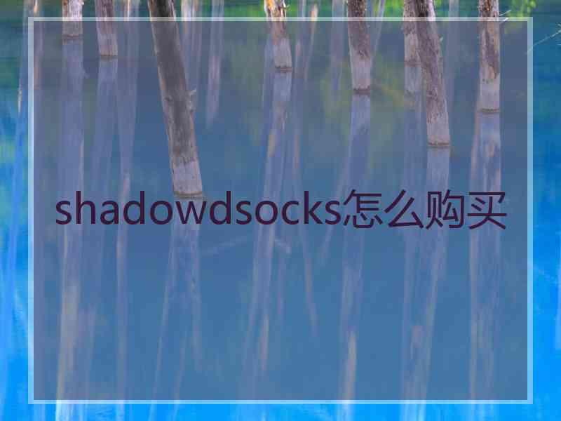 shadowdsocks怎么购买