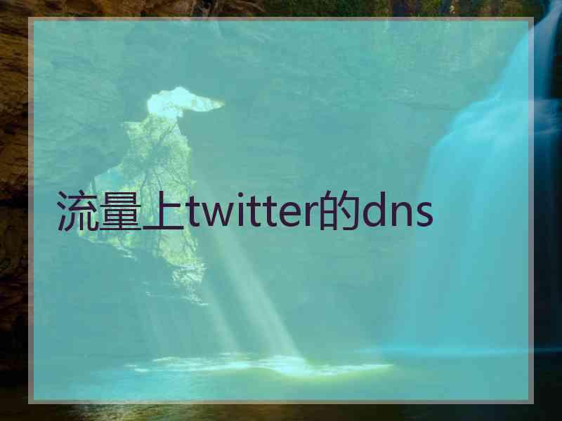 流量上twitter的dns