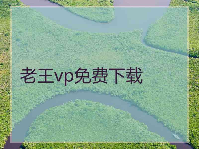 老王vp免费下载