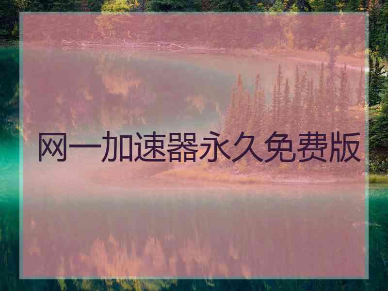 网一加速器永久免费版