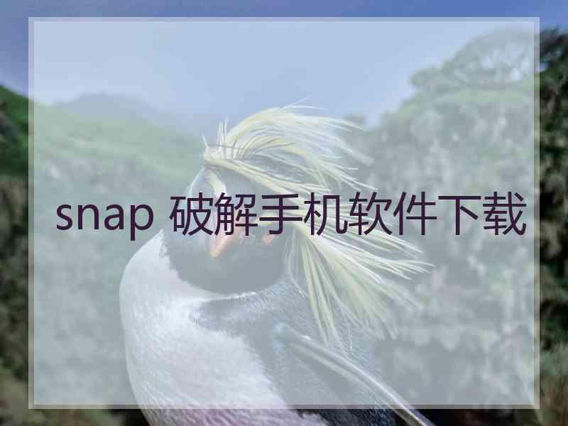 snap 破解手机软件下载