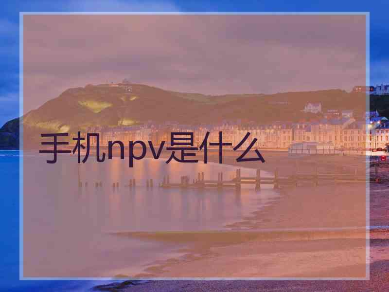 手机npv是什么