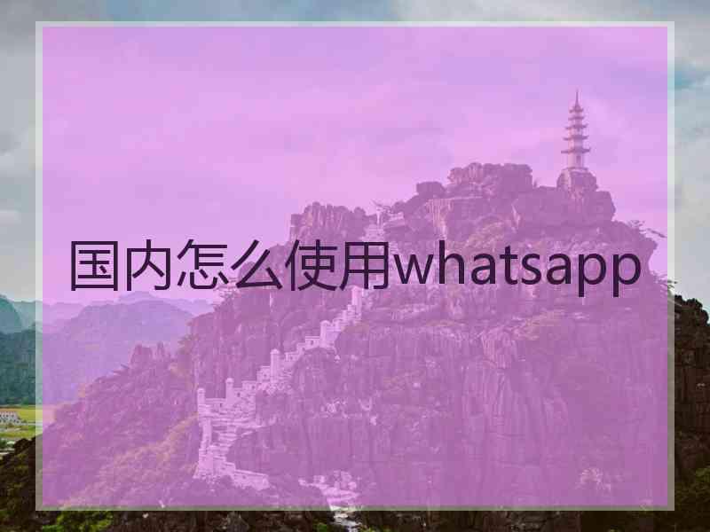 国内怎么使用whatsapp