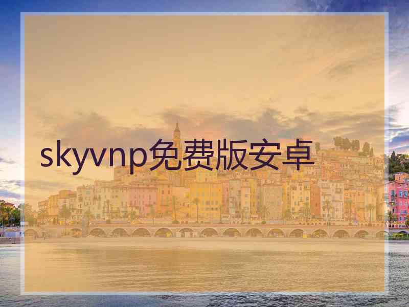 skyvnp免费版安卓