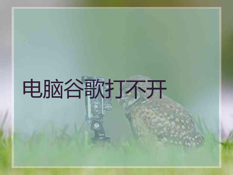 电脑谷歌打不开