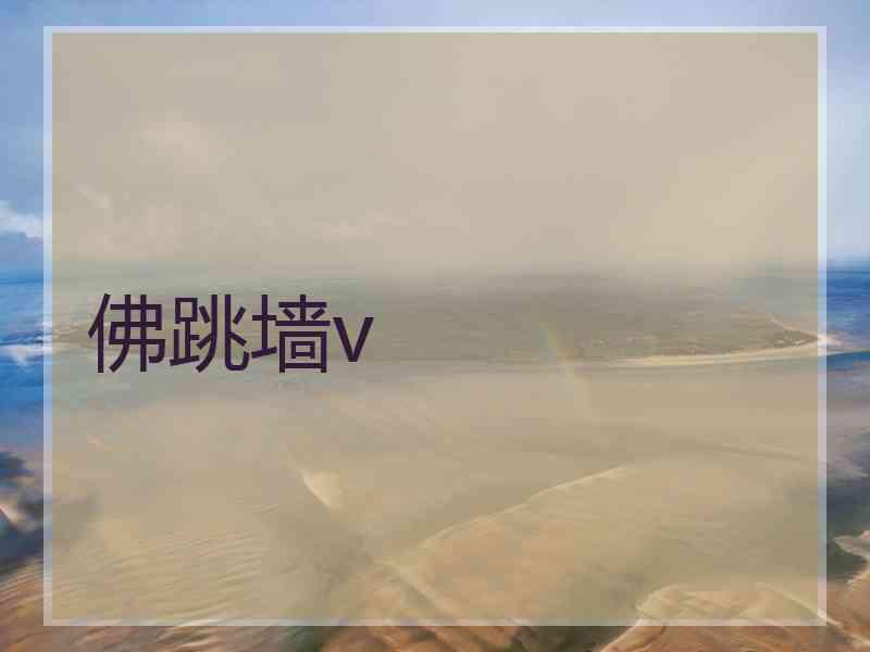 佛跳墙v