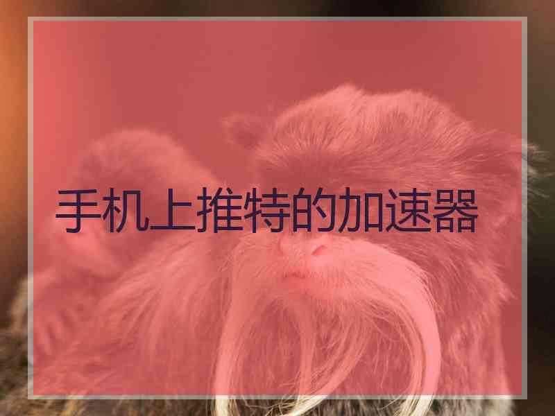 手机上推特的加速器