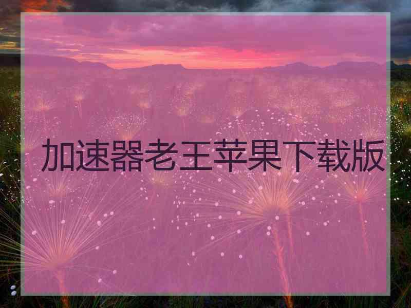 加速器老王苹果下载版