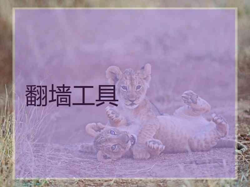 翻墙工具